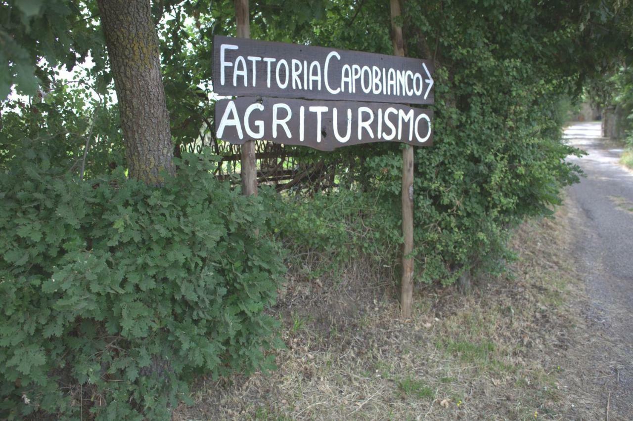 Fattoria Capobianco Βίλα Montefiascone Εξωτερικό φωτογραφία