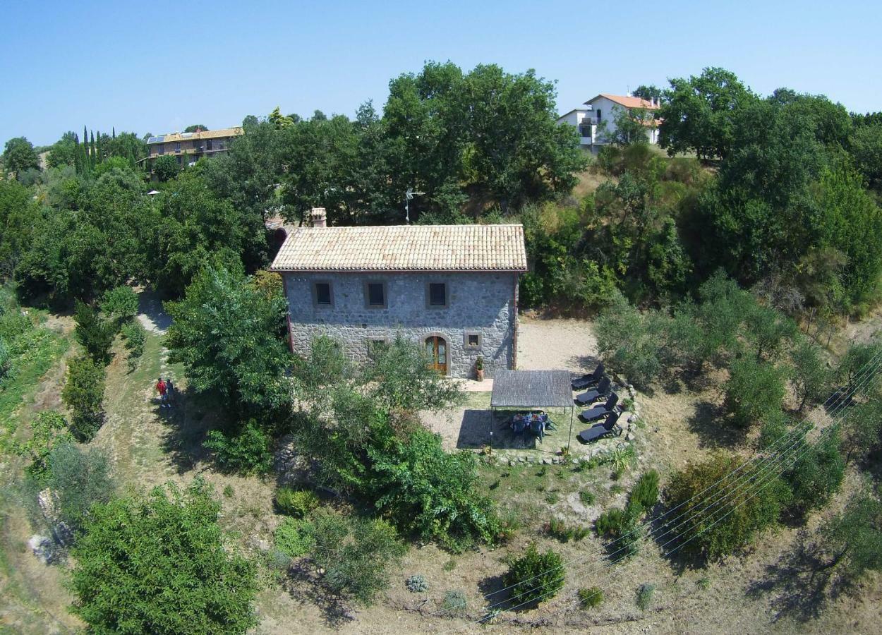 Fattoria Capobianco Βίλα Montefiascone Εξωτερικό φωτογραφία