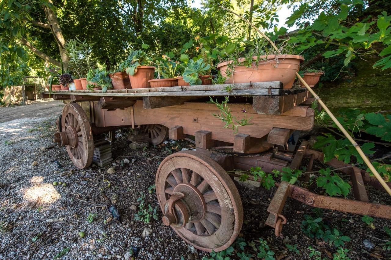 Fattoria Capobianco Βίλα Montefiascone Εξωτερικό φωτογραφία
